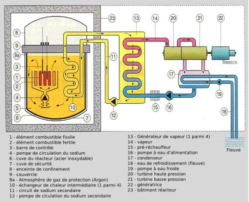 Schéma_réacteur_neutrons_rapides_caloporteur_sodium